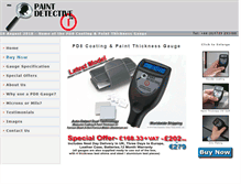 Tablet Screenshot of paintdetective.com